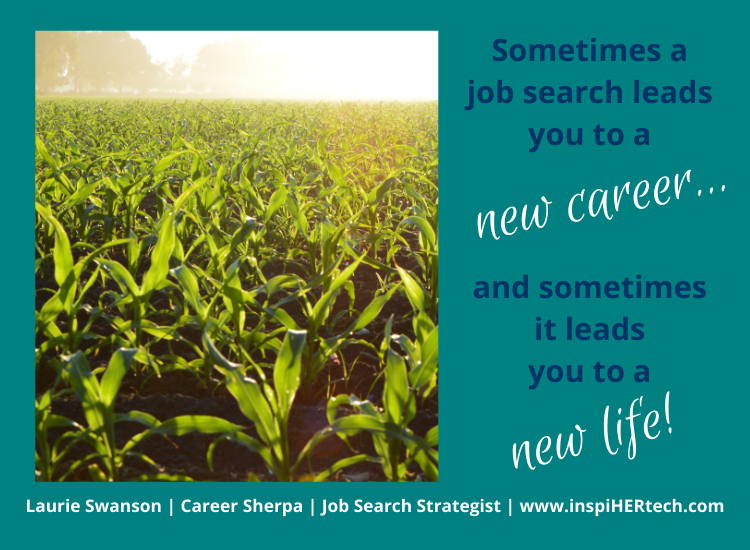 I Didn’t Get the Job and Couldn’t Be Happier!