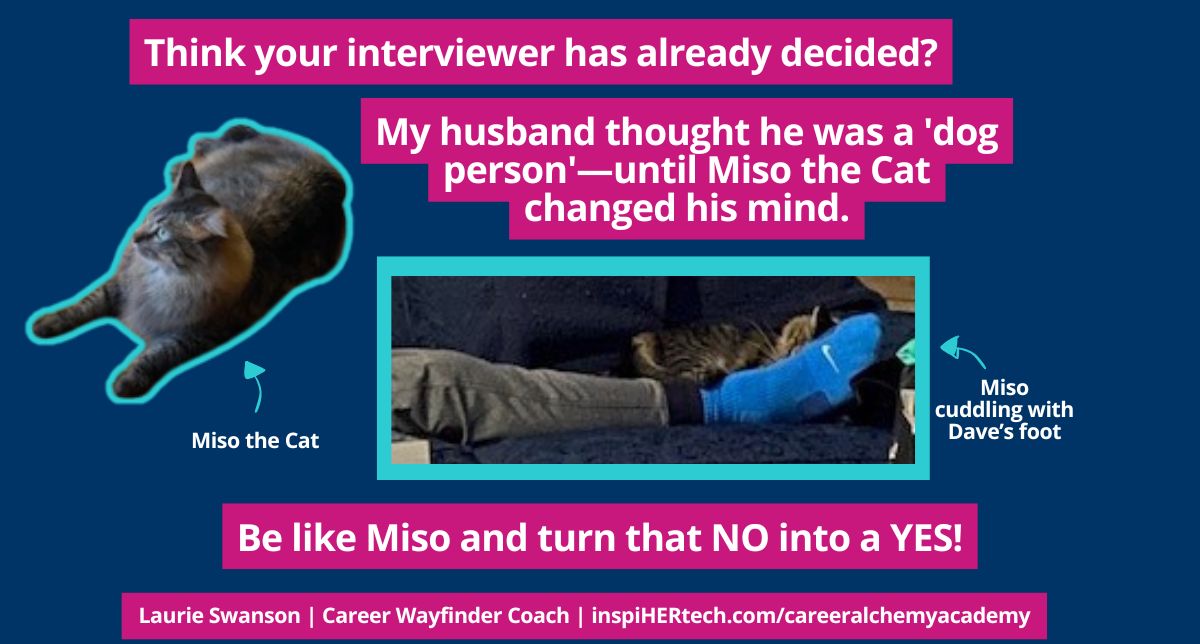 How to Use “Cat Energy” to Shift Interviewers to a YES Vibe